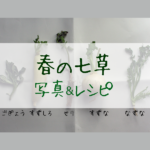 春の七草、もっと詳しく！写真&レシピ。