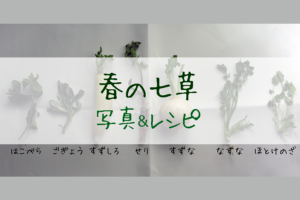 春の七草、もっと詳しく！写真&レシピ。